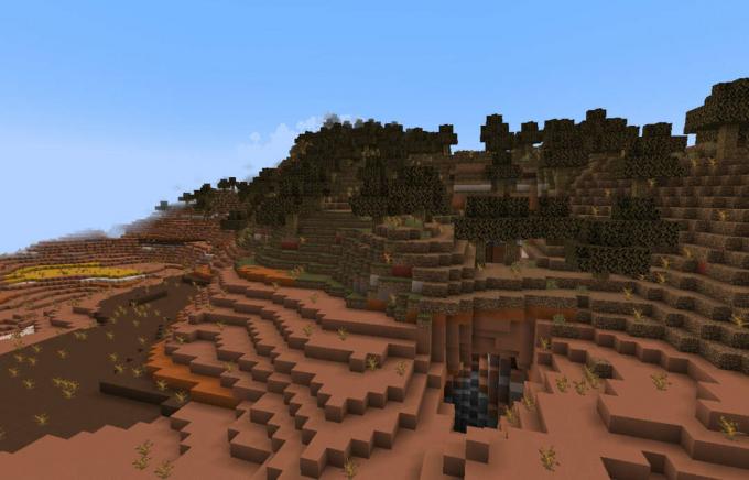 Wooded Badlandsin biomi Minecraftissa.