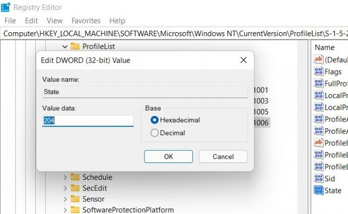 Windows11 vartotojo profilis Windowsnt Valuedata0