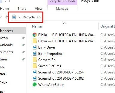 bin-fileexplorer