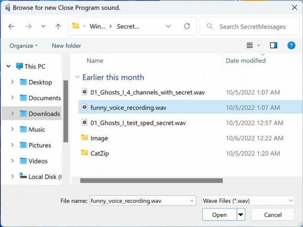 Scherzo Utente Windows 7 Impostazioni Suono Sfoglia Registrazione vocale divertente Wav