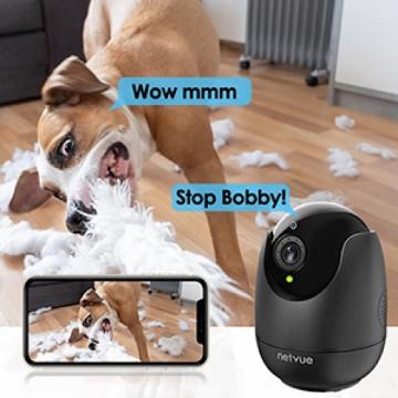 Купите собачью камеру NETVUE за полцены