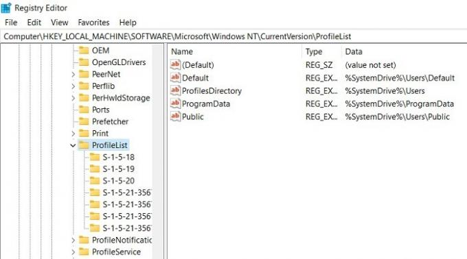 „Windows11“ vartotojo profilis „Windowsnt“ profilių sąrašas