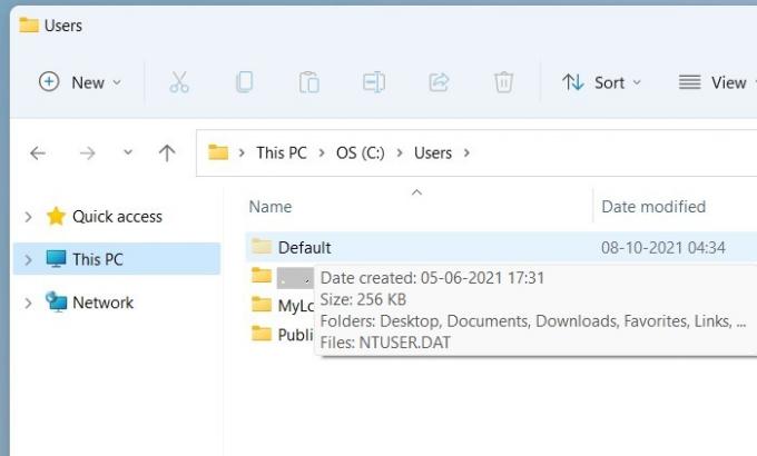 Windows11 vartotojo profilis Ntuserdat.users 