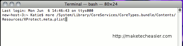 mac-terminal-med-kommando-indtastet