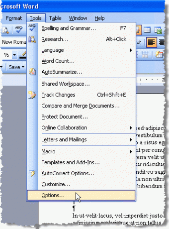 Opcje otwierania w programie Word 2003