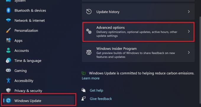 Gehen Sie zu Windows Update und wählen Sie Erweiterte Optionen.